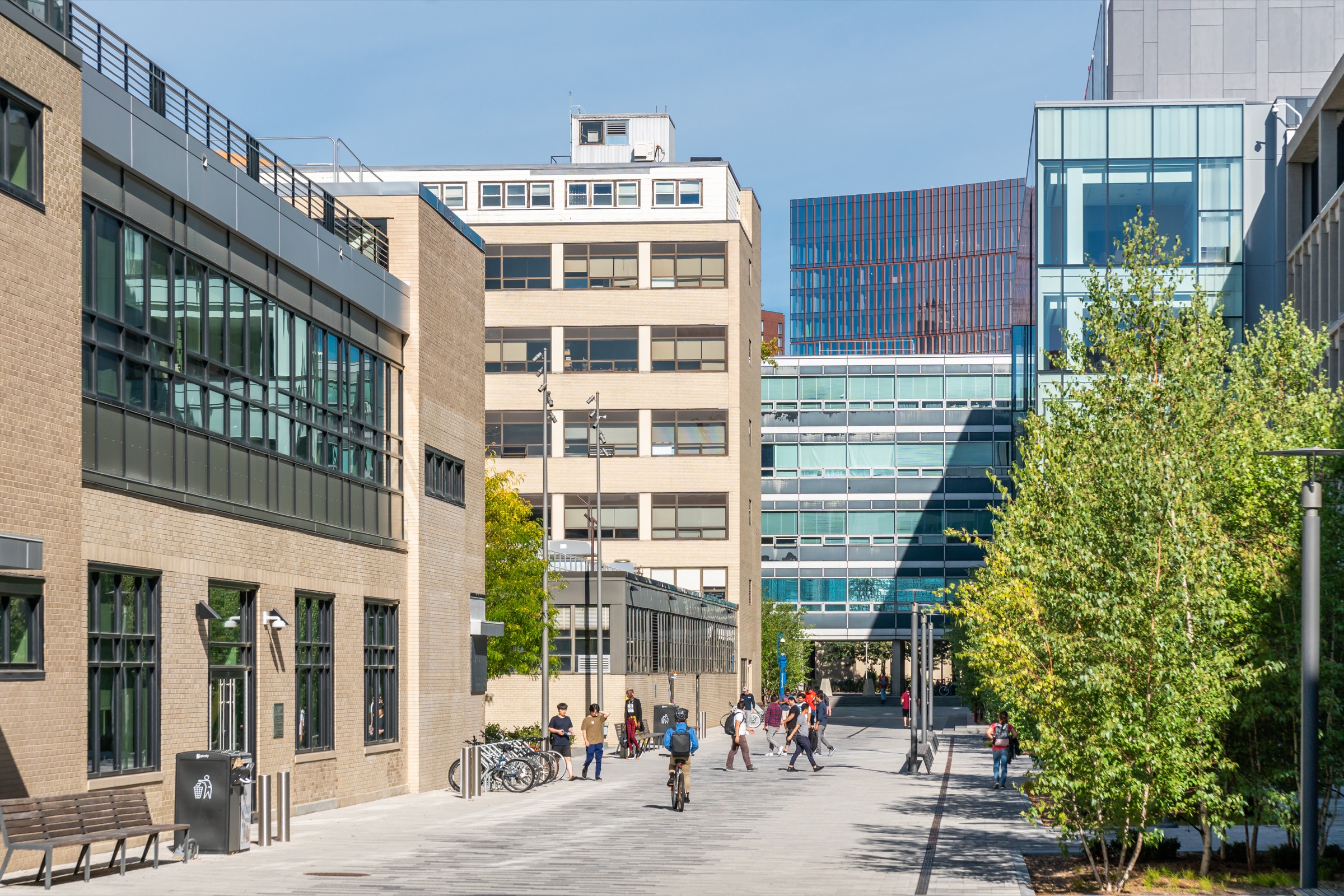People walking through the MIT campus